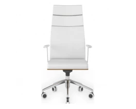 Кресло руководителя Алтея images