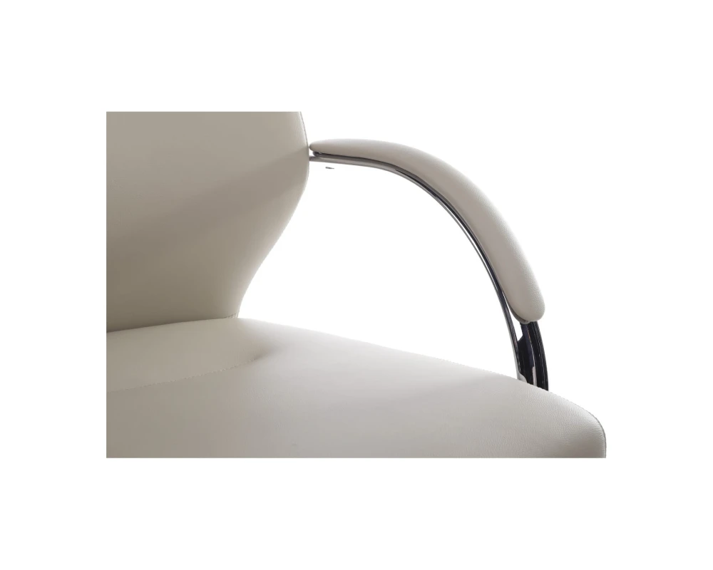 Кресло RV ДИЗАЙН Алонзо-СФ / Alonzo-CF (С1711)