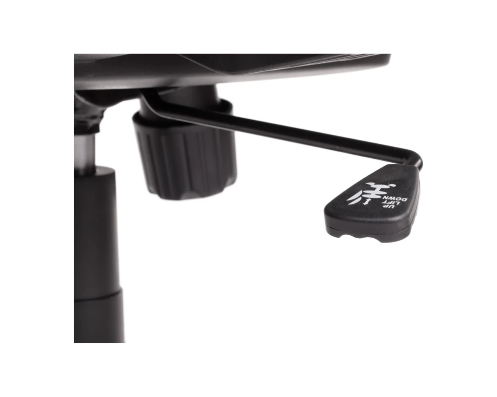 Кресло руководителя RV ДИЗАЙН Лайн / Line (W-202 АС)