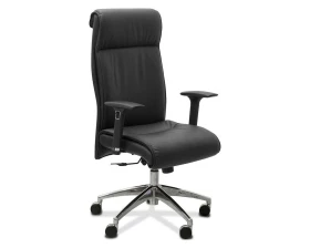 Кресло Dark подлокотники 3D images