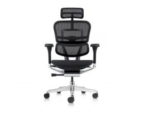Кресло руководителя Ergohuman Elite 2 HAM Сетка, Черный images