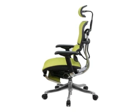 Кресло Ergohuman PLUS Legrest images