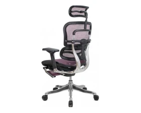 Кресло Ergohuman PLUS Legrest images