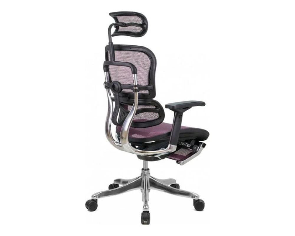 Кресло Ergohuman PLUS Legrest