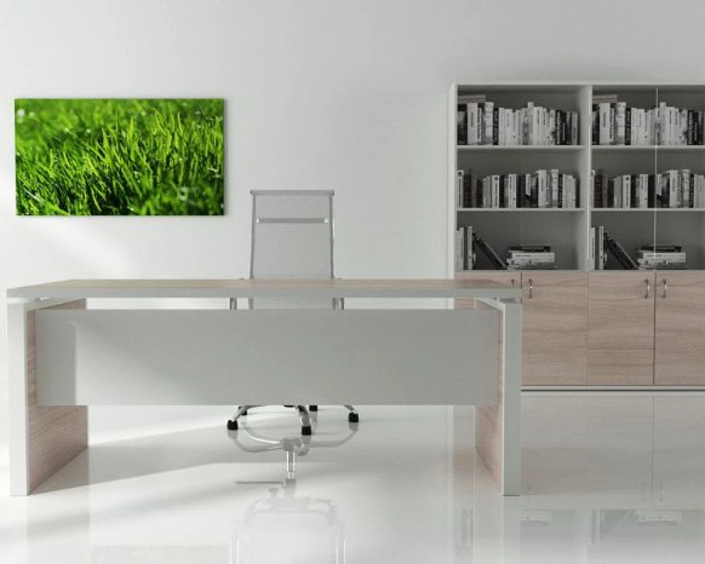 Кабинет руководителя STEEL EVO