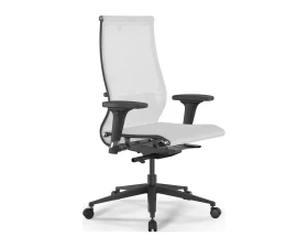 Кресло ErgoLife SynchroSit 10 B2-107D M23.B11.G19.W02 (подл. 1) Сетка, Белый images