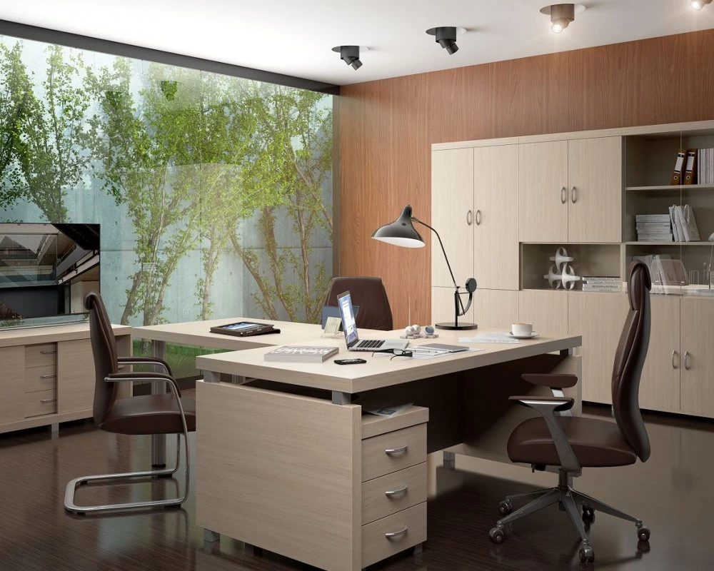 Кабинет руководителя Модерн