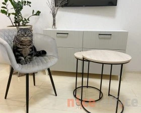 Столик кофейный SHT-CT7 Дуб беленый/Черный муар images