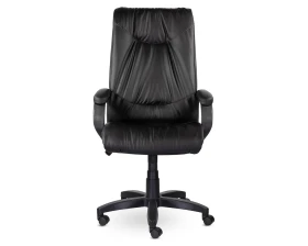 Кресло Свинг В пластик-люкс images