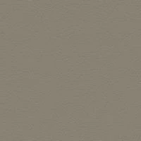 P2 EUROLINE 915 (кварцевый серый)